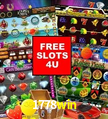 Security Systems 1778win
